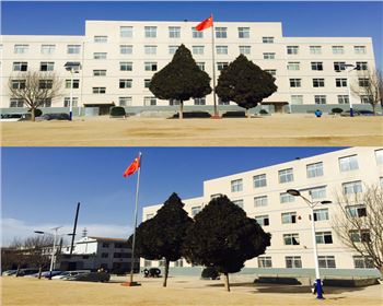 湖北學校太陽能路燈-湖北省平?jīng)鍪袑W校路燈工程