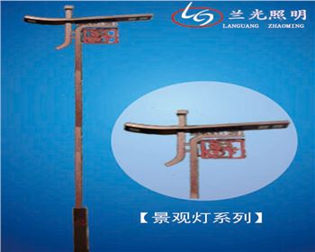 寧夏雙頭市電景觀燈