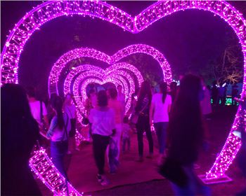 內(nèi)蒙古燈光節(jié)-節(jié)日亮化