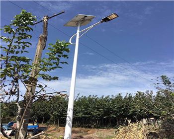 湖北西安藍田縣竹峪鎮新農村太陽能路燈