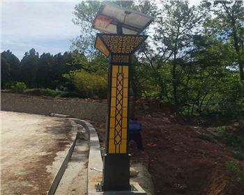 寧夏商洛洛南景村鎮太陽能景觀燈項目